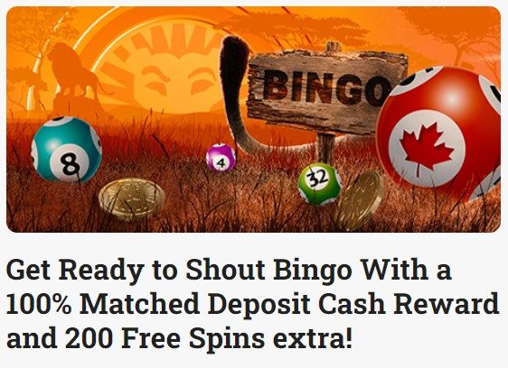 Leo Vegas Bingo bonus